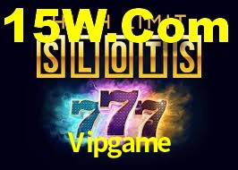 Experimente o Login Seguro Premium no Vipgame